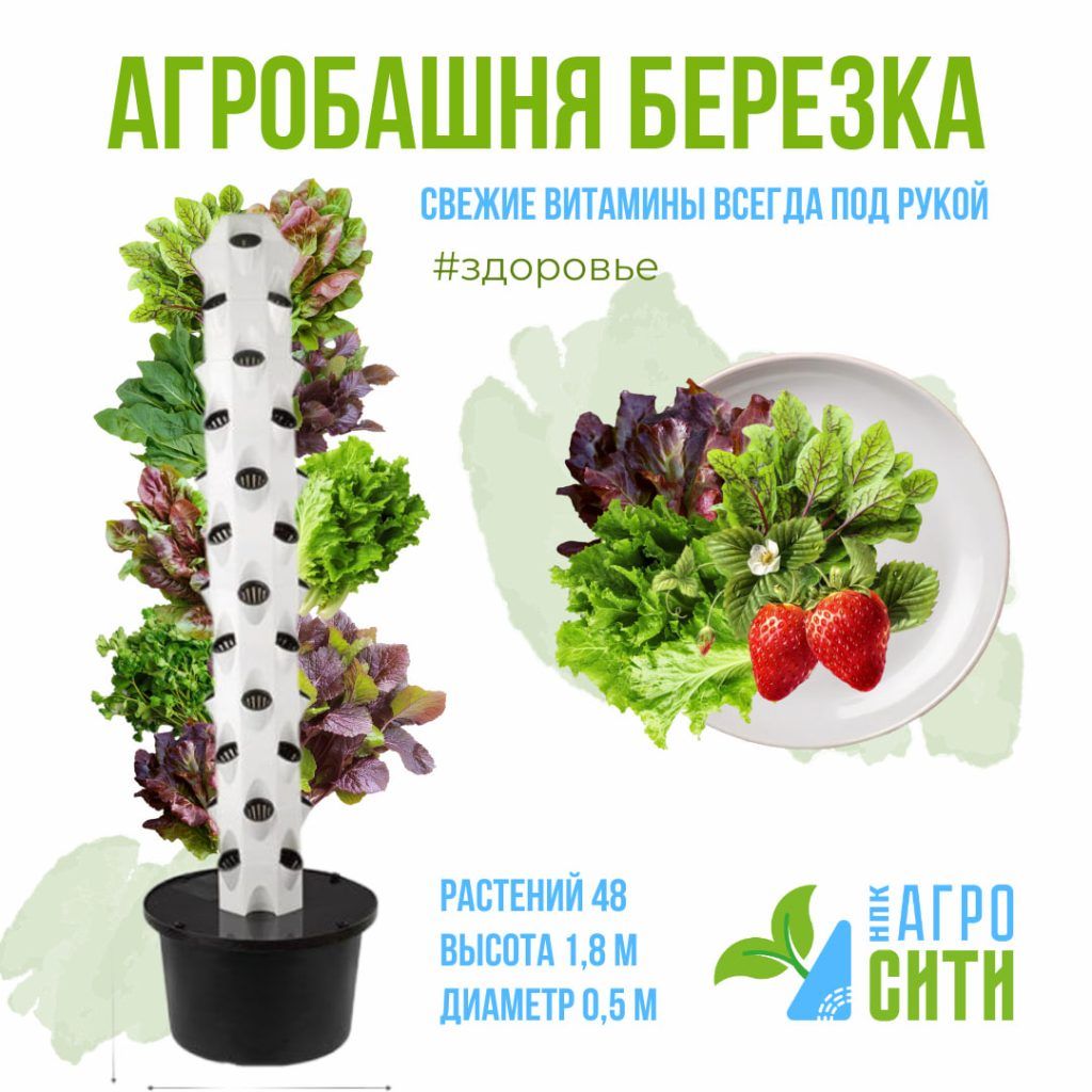 АгроБашня Березка 48