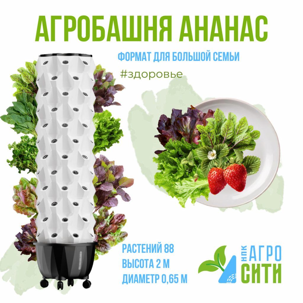 АгроБашня Ананас 88